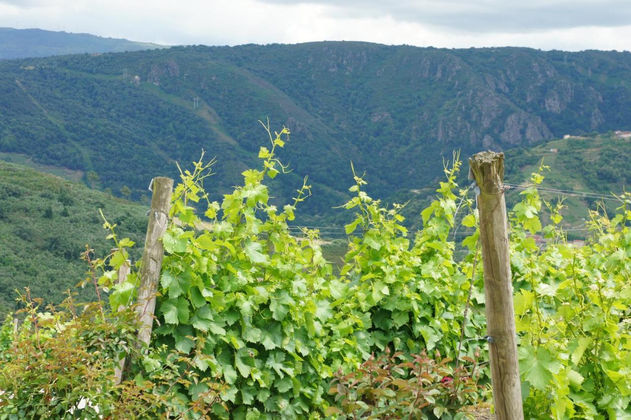 דירות Sober A Forxa Casa Ferrador Ribeira Sacra מראה חיצוני תמונה